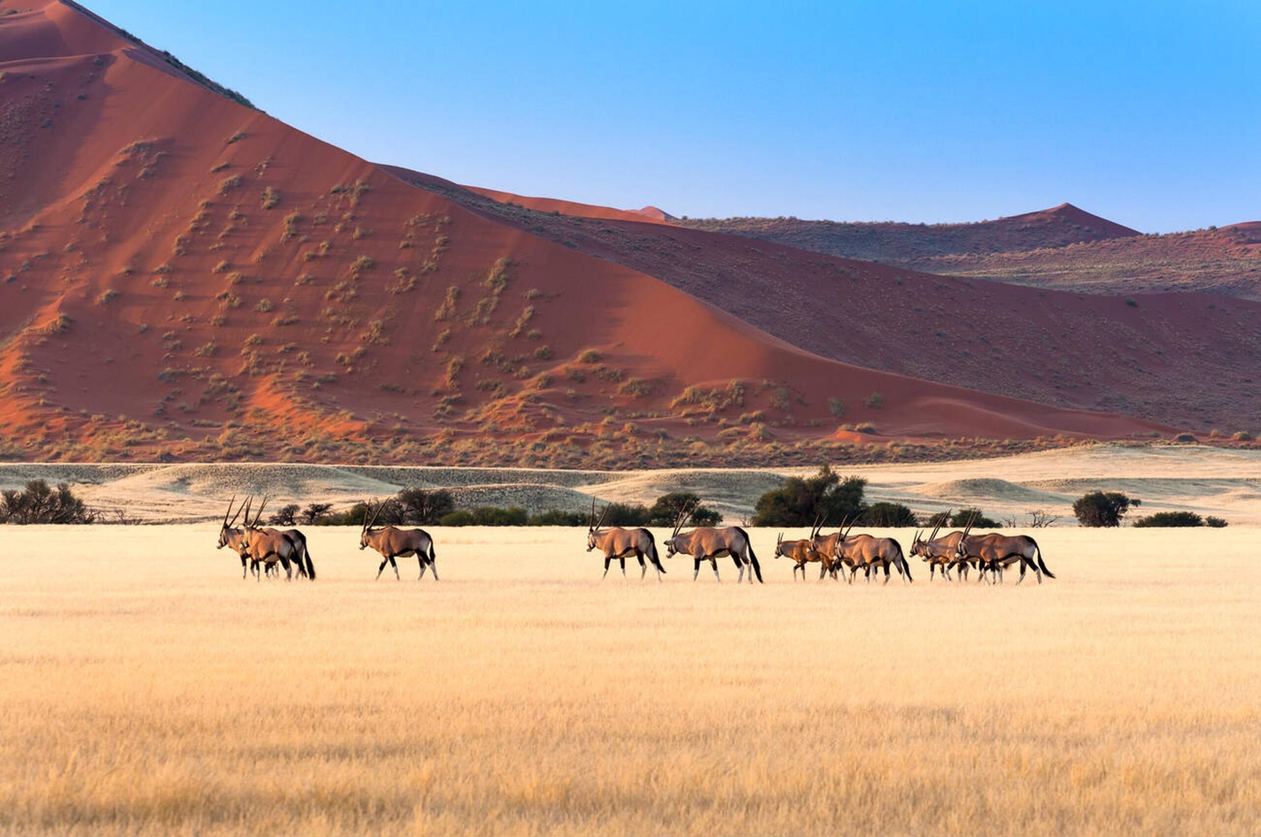 Sossusvlei Namibia’s Red Sand Dunes & Endless Horizons