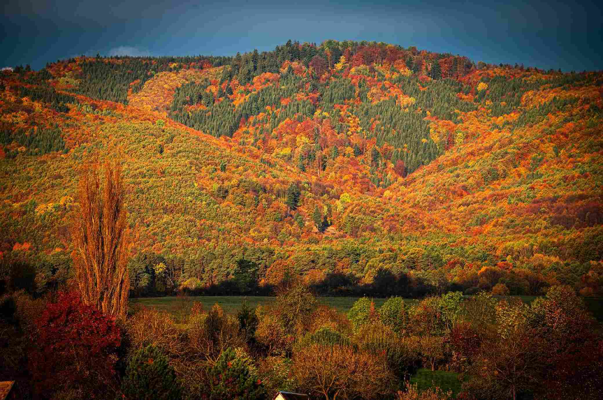 Stunning Fall Colors