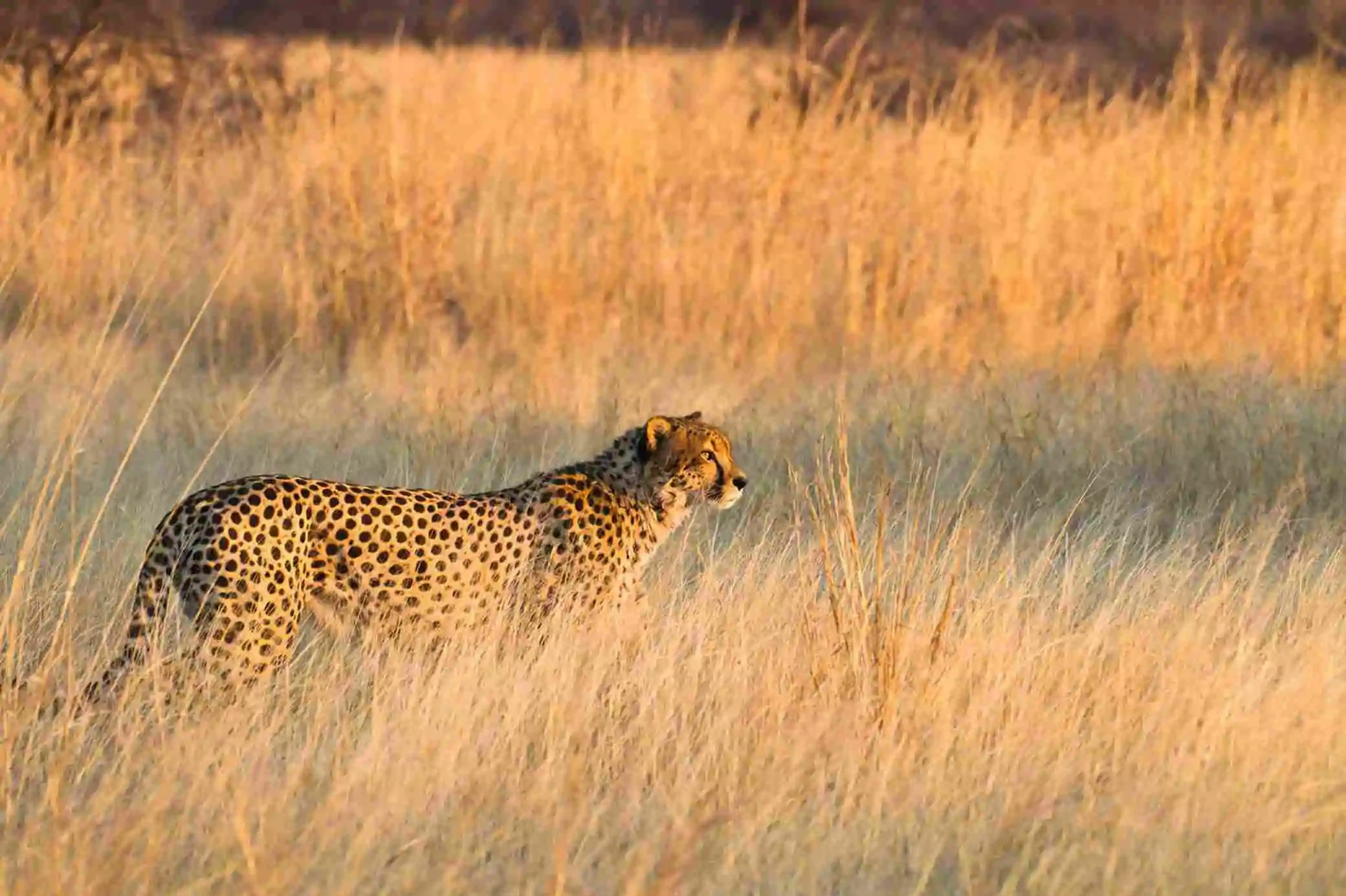 Discovering Hwange National Park.