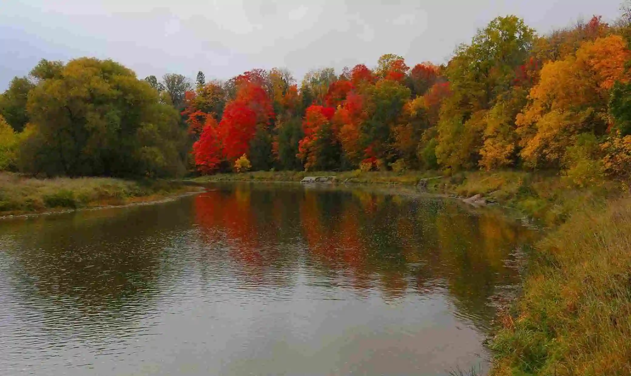 Vivid autumn colors