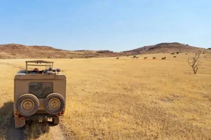 rovos rail namibia safari